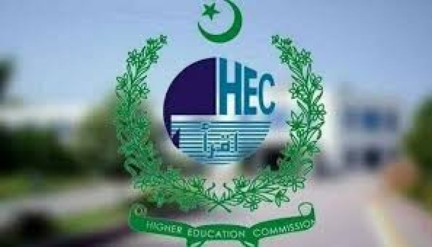 HEC Seeks Government Intervention to Address Funding Delays