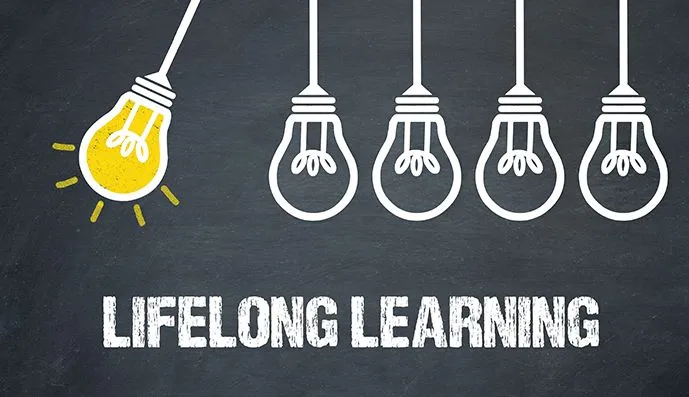 Lifelong Learning and Adaptability