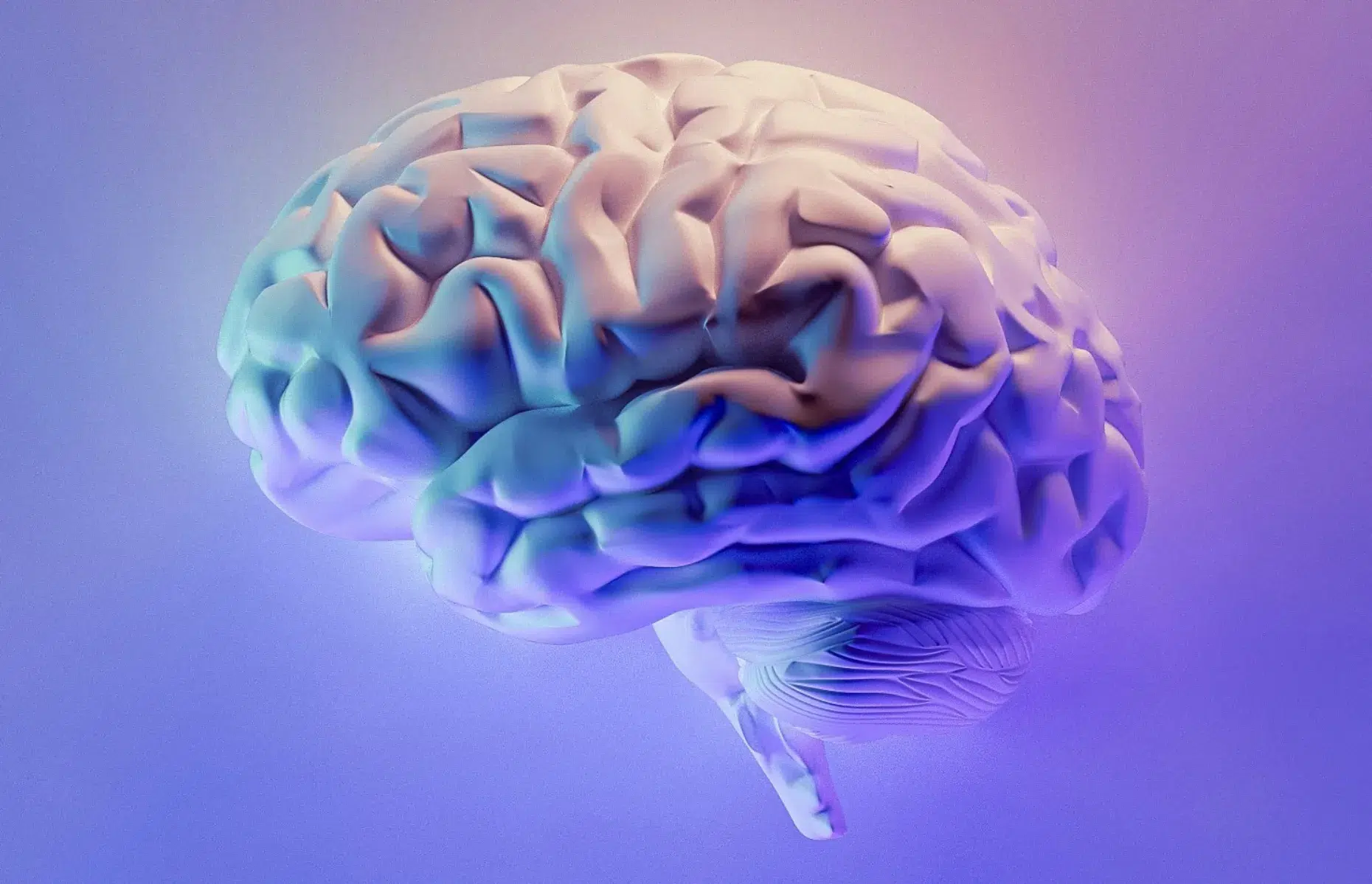 Top 20 Mind-Blowing Facts About the Human Brain