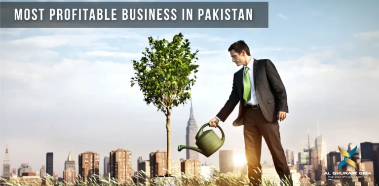 most-profitable-business-in-paki