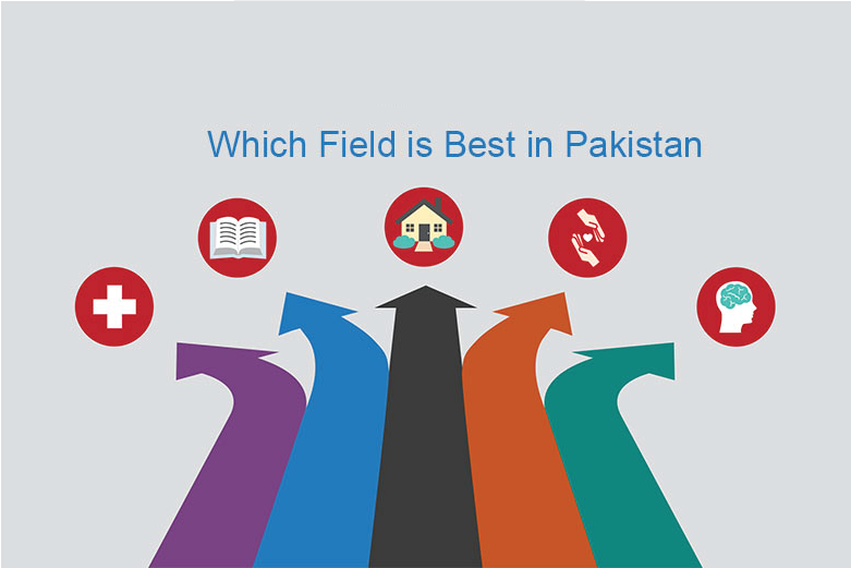 Best Fields to Study in Pakistan: A Practical Guide for Students